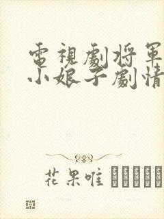 电视剧将军家的小娘子剧情介绍