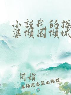 小说我的总裁老婆倾国倾城在线阅读