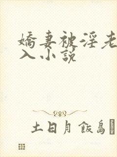 娇妻被淫老头进入小说