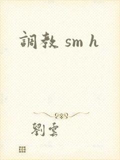 调教 sm h