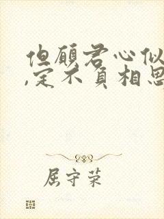 但愿君心似我心,定不负相思意怎么回复