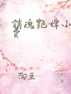 销魂艳婢小说免费