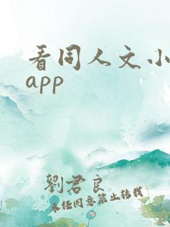 看同人文小说的app