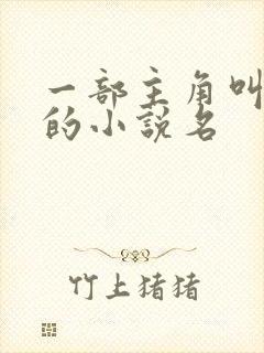 一部主角叫林天的小说名