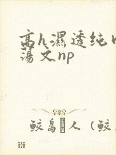 高h湿透纯肉放荡文np