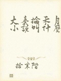 大秦抡禾月原著小说叫什么名字