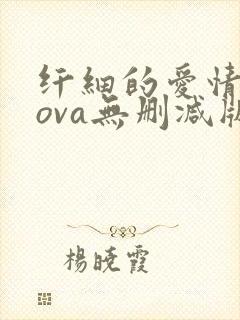 纤细的爱情动漫ova无删减版hd