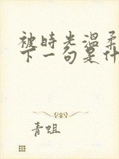 被时光温柔以待下一句是什么