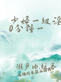 少妇一级淫片60分钟一
