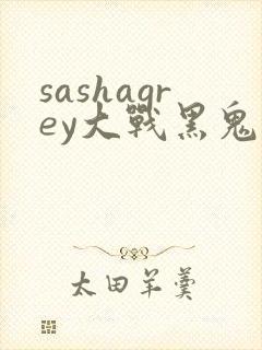 sashagrey大战黑鬼