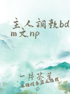 主人调教bdsm文np