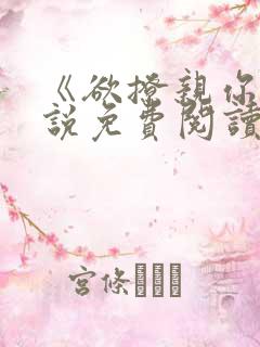 《欲撩亲你》小说免费阅读全文