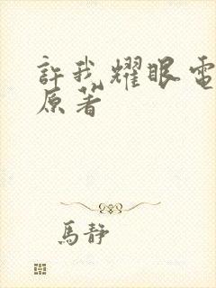 许我耀眼电视剧原著