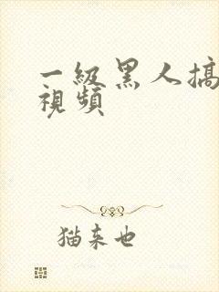 一级黑人搞少妇视频