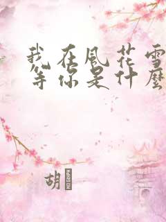 我在风花雪月里等你是什么类型的小说