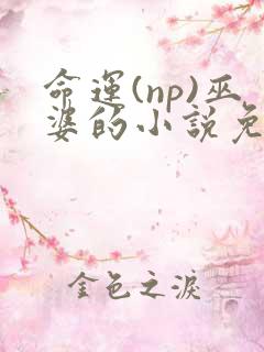 命运(np)巫婆的小说免费阅读
