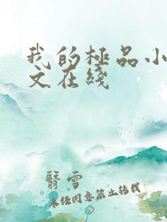 我的极品小姨全文在线