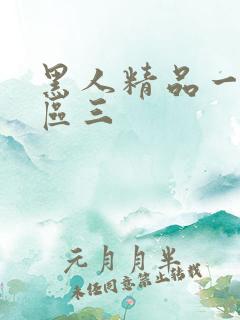 黑人精品一区二区三