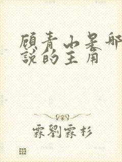 顾青山是哪部小说的主角