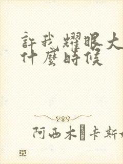 许我耀眼大结局什么时候