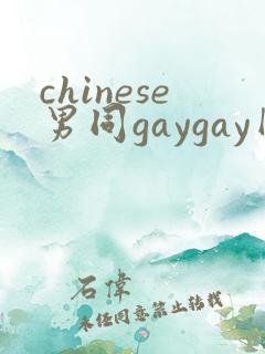 chinese男同gaygay网站