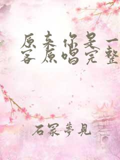 原来你是一个过客原唱完整版