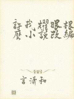 许我耀眼根据什么小说改编