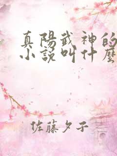 真阳武神的原著小说叫什么