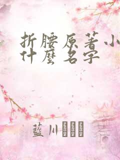 折腰原著小说叫什么名字