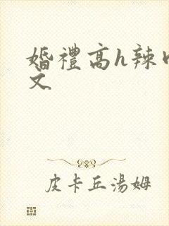 婚礼高h辣肉嗨文