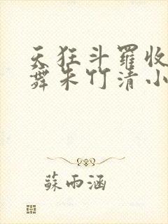 天狂斗罗收服小舞朱竹清小说