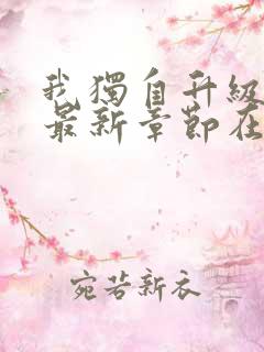 我独自升级小说最新章节在线阅读