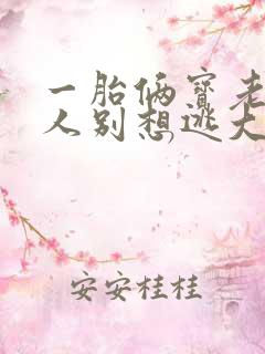 一胎俩宝老婆大人别想逃大结局