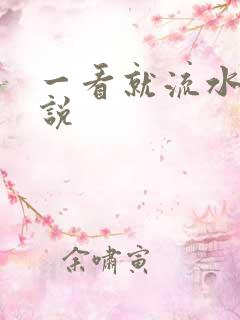 一看就流水的小说