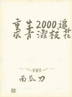 重生2000追求青涩校花同桌开始在线全文阅读