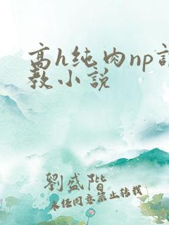 高h纯肉np调教小说