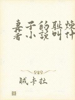 妻子的耻炼狱原著小说叫什么