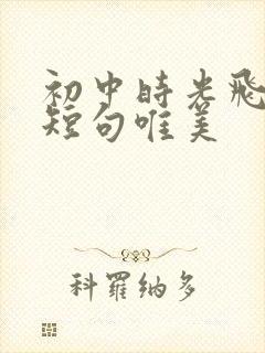 初中时光飞逝的短句唯美