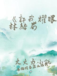 《许我耀眼》乔林结局