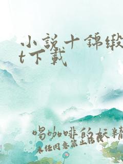 小说十锦缎txt下载