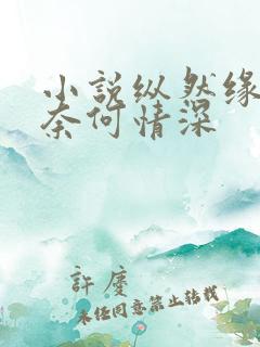 小说纵然缘浅,奈何情深