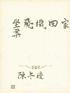 坐飞机回家的文案