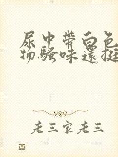 尿中带白色沉淀物骚味还挺大