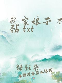 我家娘子 不对劲 txt