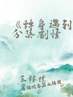 《转身遇到你》分集剧情