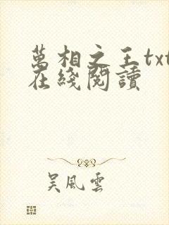 万相之王txt在线阅读
