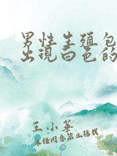 男性生殖包皮内出现白色的异物是什么情况