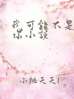 我可能不是在等你小说