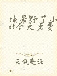 他最野了小说txt全文免费