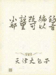 小说改编的短剧哪里可以看